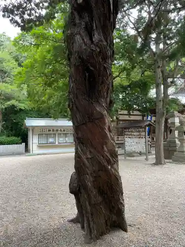野々宮神社の自然