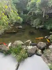 金蛇水神社(宮城県)