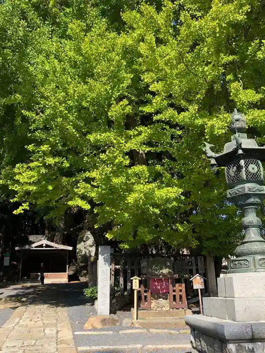 熊野大社の自然