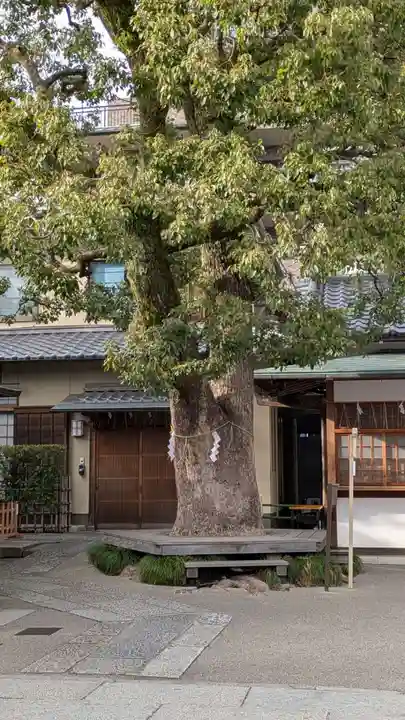 晴明神社(京都府)