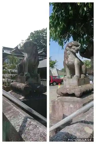 櫻山神社の狛犬