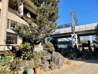 妙蓮寺(東京都)