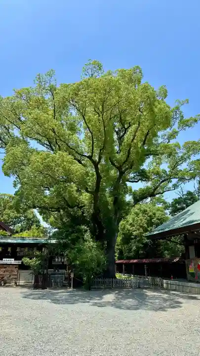 和泉國一之宮 大鳥大社(大阪府)