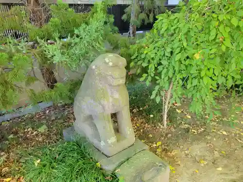 越谷香取神社の狛犬