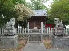 白髭神社の狛犬