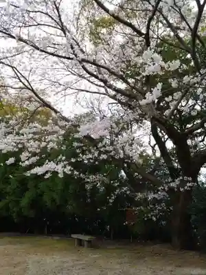 河内阿蘇神社(熊本県)