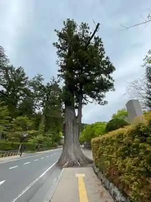 多聞院(和歌山県)