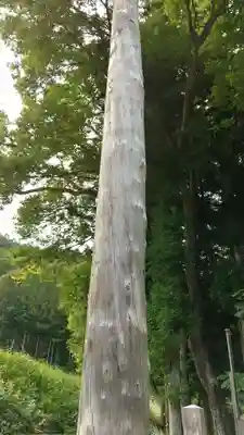 諏訪大社上社前宮のその他建物