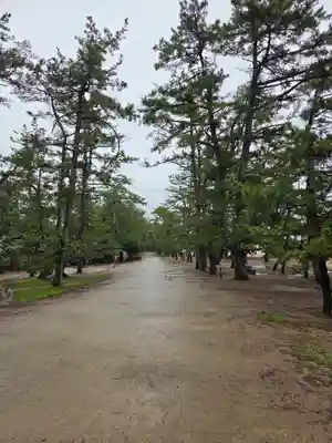 智恩寺(京都府)