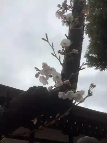 三輪神社の自然