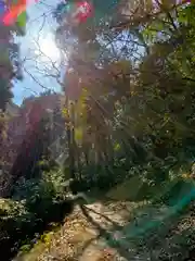 吉備津彦神社(岡山県)