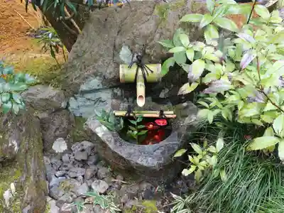 一條殿 新善光寺(京都府)