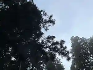 大宮温泉神社(栃木県)(2022年12月07日(水) 08時08分21秒投稿)