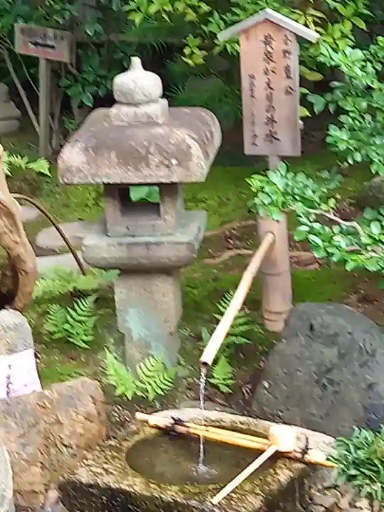 六道珍皇寺の庭園