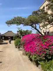 荘厳浄土寺の建物その他