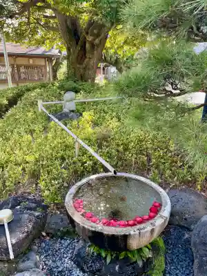 蓮光寺の{uncategorized: "未分類", other: "その他", undefined: "問題あり", building: "その他建物", grave: "お墓", sacred_gate: "鳥居", guardian: "狛犬", statue: "像", buddha: "仏像", history: "歴史", nature: "自然", garden: "庭園", animal: "動物", pagoda: "塔", temizu: "手水舎", mountain_gate: "山門・神門", sanctuary: "本殿・本堂", subordinate: "末社・摂社", art: "芸術", scenery: "景色", jizo: "地蔵", ema: "絵馬", goshuin: "御朱印", omikuji: "おみくじ", items: "授与品その他", amulet: "お守り", goshuincho: "御朱印帳", eats: "食事", festival: "お祭り", votive_dance: "神楽", shichigosan: "七五三参", wedding: "結婚式", experience: "体験その他", initially: "初詣", around: "周辺", anti_infection: "感染症対策"}