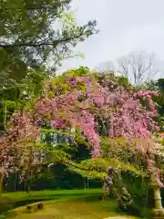 香取神宮の自然