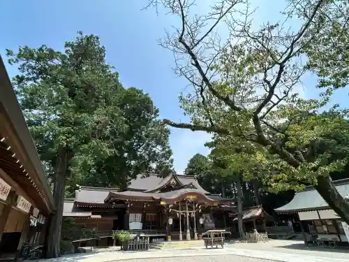 大麻比古神社(徳島県)