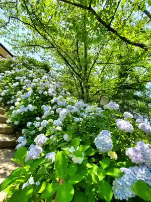 白和瀬神社(福島県)