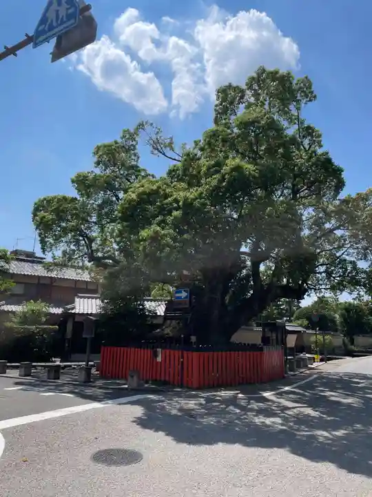 藤木社(賀茂別雷神社末社)(京都府)