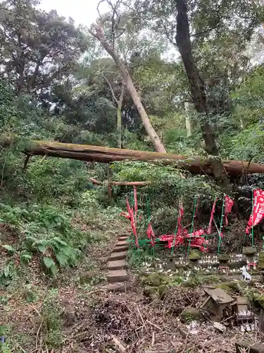 佐助稲荷神社の自然