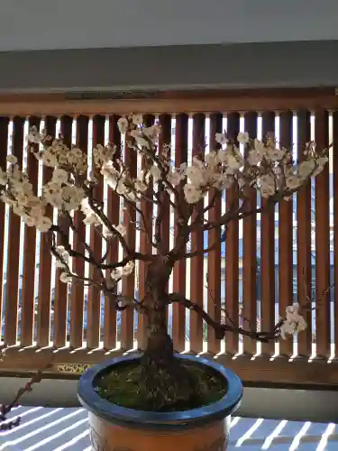 湯島天満宮(東京都)