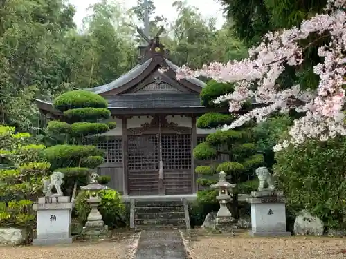 市原豊歳神社の本殿