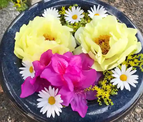 真言宗　善通寺派　薬王寺の手水舎