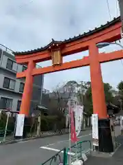 大宮八幡宮の鳥居