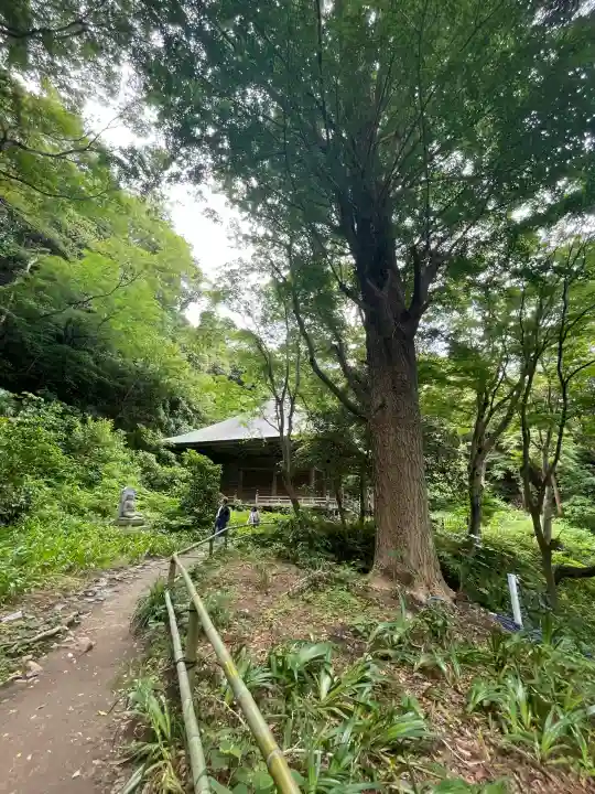 妙法寺の{uncategorized: "未分類", other: "その他", undefined: "問題あり", building: "その他建物", grave: "お墓", sacred_gate: "鳥居", guardian: "狛犬", statue: "像", buddha: "仏像", history: "歴史", nature: "自然", garden: "庭園", animal: "動物", pagoda: "塔", temizu: "手水舎", mountain_gate: "山門・神門", sanctuary: "本殿・本堂", subordinate: "末社・摂社", art: "芸術", scenery: "景色", jizo: "地蔵", ema: "絵馬", goshuin: "御朱印", omikuji: "おみくじ", items: "授与品その他", amulet: "お守り", goshuincho: "御朱印帳", eats: "食事", festival: "お祭り", votive_dance: "神楽", shichigosan: "七五三参", wedding: "結婚式", experience: "体験その他", initially: "初詣", around: "周辺", anti_infection: "感染症対策"}