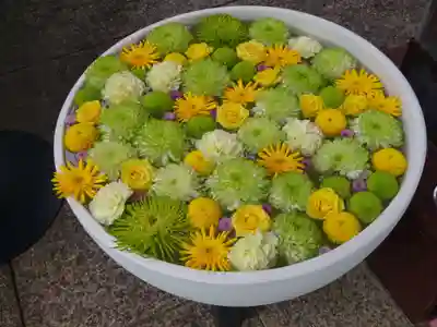 法輪寺の芸術