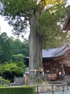 北口本宮冨士浅間神社(山梨県)