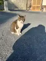 一宮神社(福岡県)
