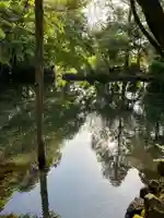 富士山本宮浅間大社(静岡県)