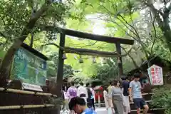 野宮神社の鳥居