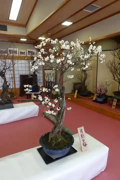 菅原天満宮(菅原神社)の芸術
