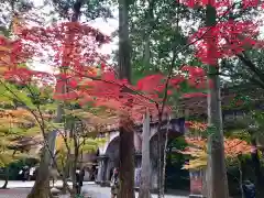 南禅寺の建物その他