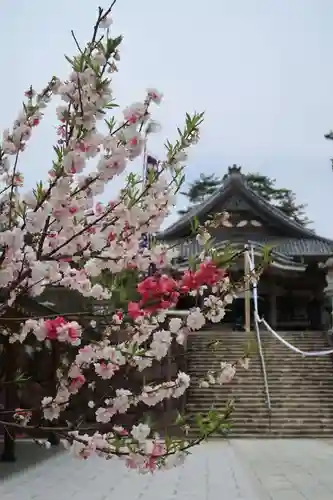 萬勝寺（飯高観音）(岐阜県)