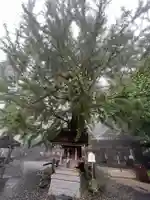 正法寺(滋賀県)