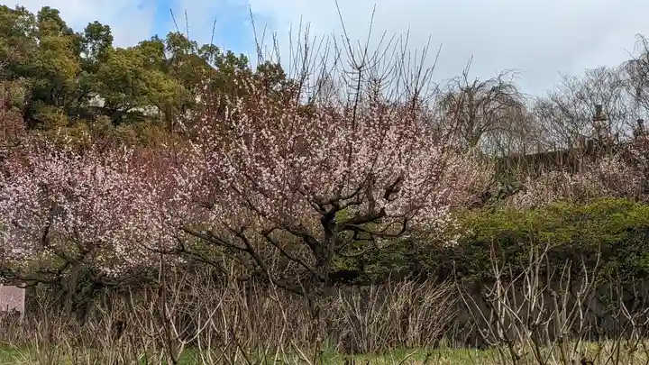 智積院(京都府)
