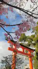 賀茂別雷神社（上賀茂神社）の自然