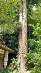 宇太水分神社(奈良県)