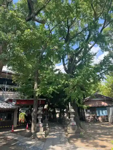今井神社の{uncategorized: "未分類", other: "その他", undefined: "問題あり", building: "その他建物", grave: "お墓", sacred_gate: "鳥居", guardian: "狛犬", statue: "像", buddha: "仏像", history: "歴史", nature: "自然", garden: "庭園", animal: "動物", pagoda: "塔", temizu: "手水舎", mountain_gate: "山門・神門", sanctuary: "本殿・本堂", subordinate: "末社・摂社", art: "芸術", scenery: "景色", jizo: "地蔵", ema: "絵馬", goshuin: "御朱印", omikuji: "おみくじ", items: "授与品その他", amulet: "お守り", goshuincho: "御朱印帳", eats: "食事", festival: "お祭り", votive_dance: "神楽", shichigosan: "七五三参", wedding: "結婚式", experience: "体験その他", initially: "初詣", around: "周辺", anti_infection: "感染症対策"}