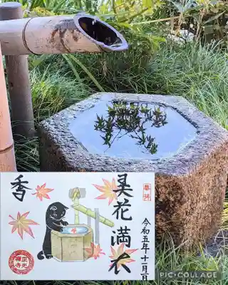 『弄花香満衣』令和5年11月限定