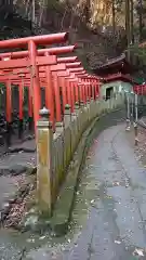 狸谷山不動院の鳥居