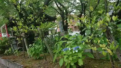 若宮八幡社の自然