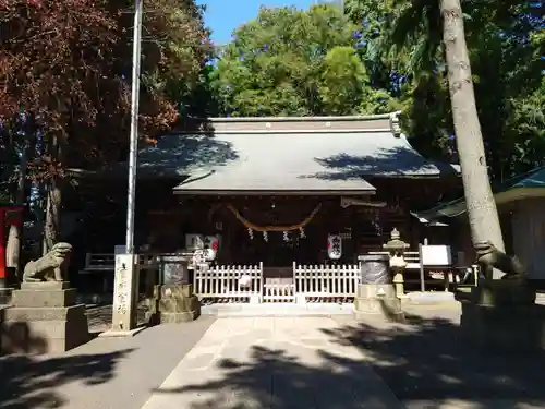西堀氷川神社の本殿・本堂
