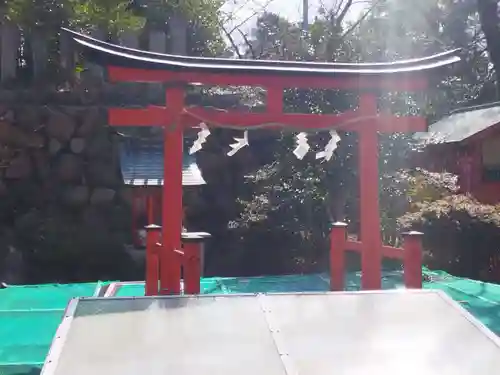 難波大社　生國魂神社(大阪府)