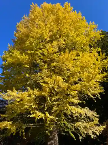 北口本宮冨士浅間神社(山梨県)