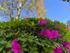 松本山　地福禅寺の自然